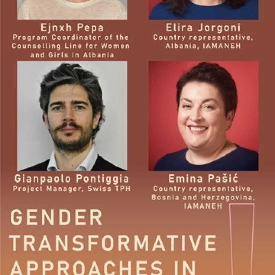 Gender Transformative Approaches in Practice – A Panel Discussion